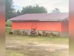 Aktivitas Judi di Jalan Wilayah Desa Sinaman Resahkan Warga Sekitar