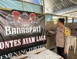 Tempat Perjudian Sabung Ayam Akhirnya di Gerebek Tim Gabungan setelah dilaporkan Ketua Umum LSM Gmicak