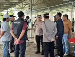 Markas Judi Sabung Ayam Akhirnya di Gerebek Tim Gabungan Polres Purbalingga, TNI AD, TNI AU, POM AU, dan Forkopimcam usai dilaporkan LSM Gmicak