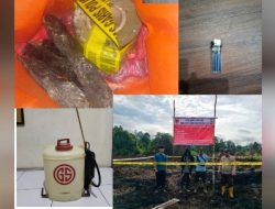 Polres Inhil Tangkap Pelaku Pembakaran Lahan di Gaung, 5 Hektare Lahan Gambut Terbakar