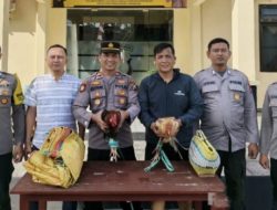 Markas Sabung Ayam di Sokobanah, Sampang di Gerebek Polisi