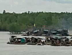 Tambang Timah di Aliran Sungai (DAS) Perimping, Bangka Merusak Ekosistem Laut