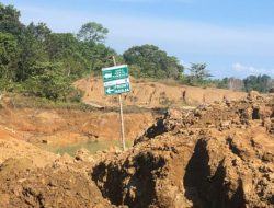 Tiga Orang Tewas akibat Tambang di Lemba Jambu, Desa Sinar Surya, Kecamatan Tempilang, Bangka Barat