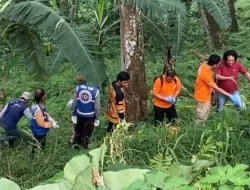 Tragedi Korban Mutilasi dipacat Mojokerto Gegerkan Jagad Dunia Maya Medsos