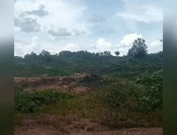 Tambang Timah gunakan mesin Dompeng di Desa Puput, Kecamatan Simpang kates, Bangka Tengah kawasan hutan Milik Gan tak tersentuh Hukum