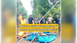 Perjudian Sabung Ayam di Eremerasa, Kabupaten Bantaeng di Gerebek “Bocor” Polisi tidak menemukan Pelaku