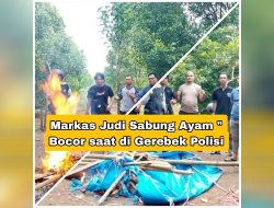 Perjudian Sabung Ayam di Eremerasa, Kabupaten Bantaeng di Gerebek “Bocor” Polisi tidak menemukan Pelaku