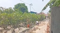 Anggaran BUMDes dan DD Desa Terusan, Kecamatan Gedeg, Kabupaten Mojokerto diduga Syarat di Korupsi