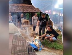 Kasus Perjudian Sabung Ayam di Serangan, Kecamatan Sukorejo, Ponorogo beraktivitas lagi “Ini Kata Ketua Umum LSM Gmicak”