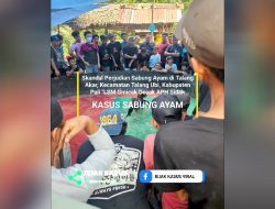 Skandal Perjudian Sabung Ayam di Talang Akar, Kecamatan Talang Ubi, Kabupaten Pali “LSM Gmicak Desak APH Sidak