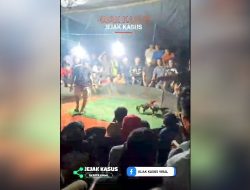 Kasus Perjudian Sabung Ayam Desa Talang Akar, Kecamatan Talang Ubi, Kabupaten Pali ” Merasa Kebal Hukum
