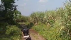 Oknum Kepala Desa Kademangan, Mojoagung diduga Gelapkan Tanah Kas Desa (TKD)