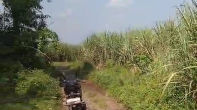 Oknum Kepala Desa Kademangan, Mojoagung diduga Gelapkan Tanah Kas Desa (TKD)