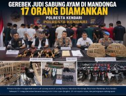 Gerebek Arena Judi Sabung Ayam di Mandonga, 17 Orang Diamankan Polresta Kendari