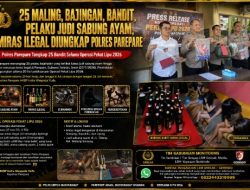 25 Maling, Bajingan, Bandit, Pelaku Judi Sabung Ayam, Miras Ilegal diungkap Polres Parepare