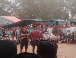 Marak Perjudian Sabung Ayam di Batuporo Barat, Kecamatan Kedungdung, Kabupaten Sampang