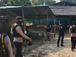 Gerebek Arena Perjudian Sabung Ayam di Tarakan Utara, Empat Pemain Diamankan Petugas Gabungan